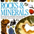 Cover Art for 9780789465511, Rocks & Minerals (DK Eyewitness Books (Library Binding)) by R. F. Symes