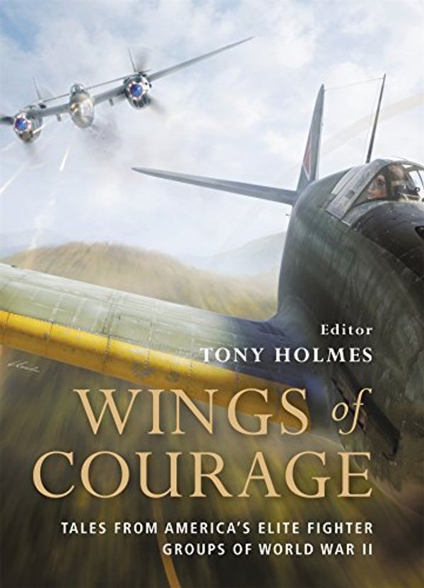 Cover Art for 9781849082198, Wings of Courage by Tony Holmes