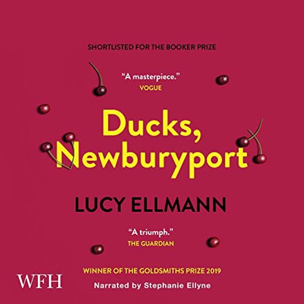 Cover Art for B084YQTSZG, Ducks, Newburyport by Lucy Ellmann