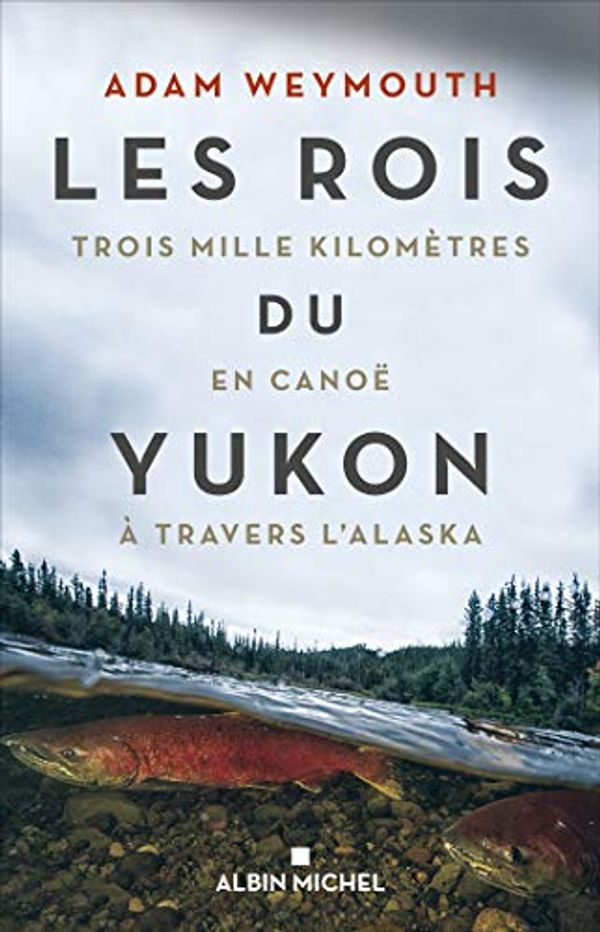 Cover Art for B085HTKC1B, Les Rois du Yukon : Trois mille kilomètres en canoë à travers l Alaska (French Edition) by Bruno Boudard, Adam Weymouth