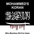 Cover Art for 9781542627801, Mohammed's Koran: Why Muslims Kill For Islam by Peter McLoughlin