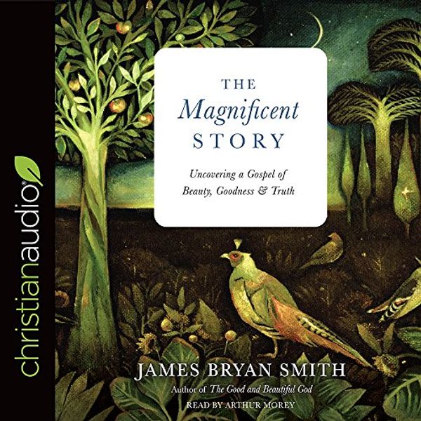 Cover Art for 9781683667551, The Magnificent Story: Uncovering a Gospel of Beauty, Goodness, and Truth by James Bryan Smith