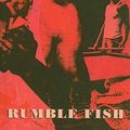 Cover Art for 9780812417685, Rumble Fish by S E Hinton