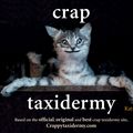 Cover Art for 9781844038039, Crap Taxidermy by Kat Su