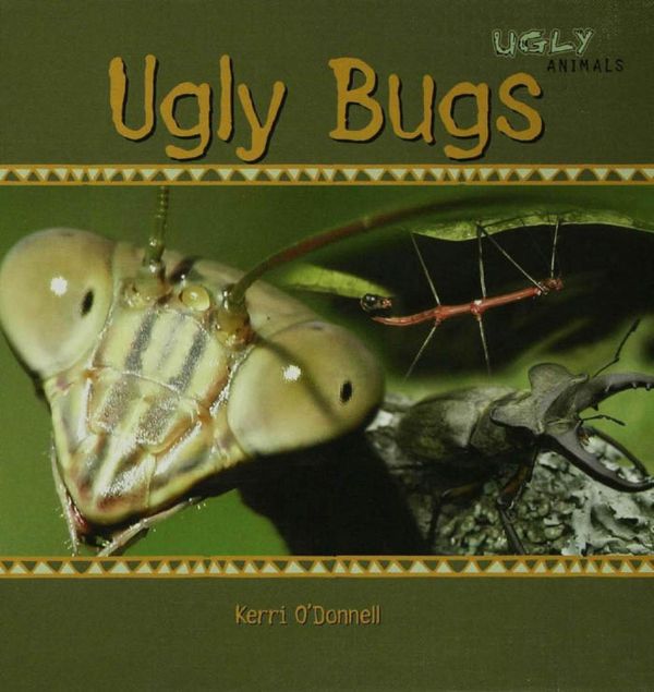 Cover Art for 9781435841246, Ugly Bugs by Kerri O'Donnell