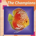 Cover Art for 9783936027587, Discus: The Champions by Frank Schafer