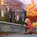 Cover Art for 9781631085802, Hidden Pictures (Library Edition): 19 by Carolyn Keene