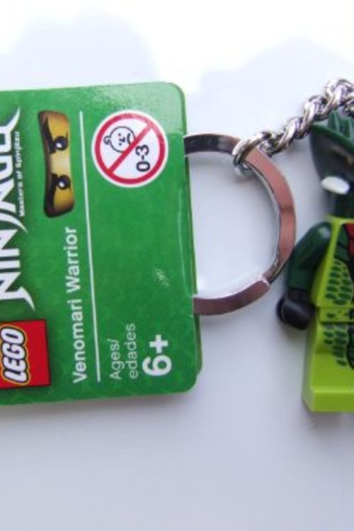 Cover Art for 0673419181174, Snake Key Chain Set 850443 by Lego