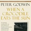 Cover Art for 9781743295649, When a Crocodile Eats the Sun by Peter Godwin
