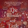 Cover Art for B0B2YHVGBG, The Wonder of Little Things by Copley, Vince, McInerney, Lea