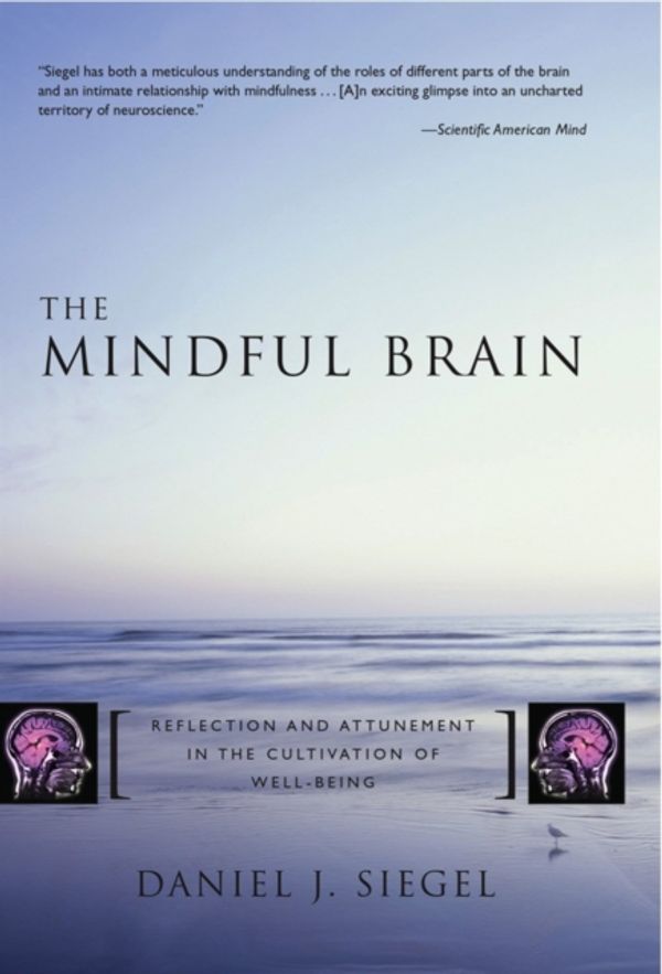 Cover Art for 9780393704709, The Mindful Brain by Daniel J. Siegel