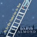 Cover Art for 9781441890047, The Boy Who Climbed Into the Moon by David Almond