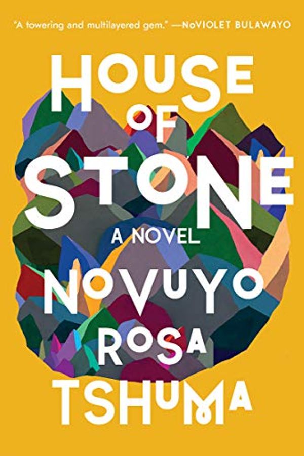 Cover Art for 9780393357684, House of Stone by Novuyo Rosa Tshuma