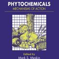 Cover Art for 9781135506841, Phytochemicals by R.Keith Randolph