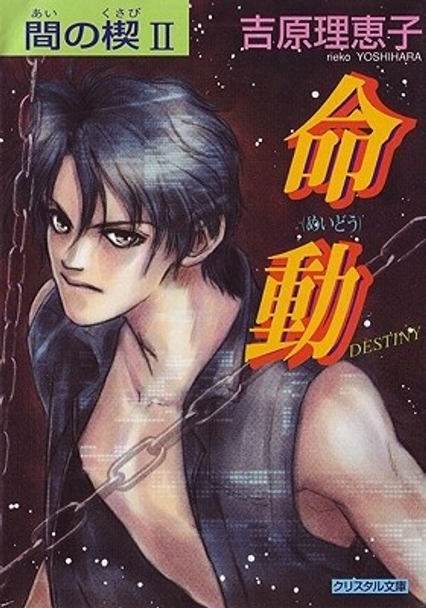 Cover Art for 9781569707838, Ai No Kusabi the Space Between: Destiny (Yaoi Novel) v. 2 by Reiko Yoshihara