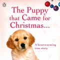 Cover Art for 9780241951064, The Puppy that Came for Christmas and Stayed Forever by Megan Rix