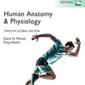 Cover Art for B0BF3ZGN8H, Human Anatomy & Physiology, Global Edition by Marieb, Elaine N, Hoehn, Katja N.