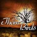 Cover Art for 9781441740977, The Thorn Birds by Colleen McCullough