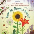 Cover Art for 9780794534646, Lift-the-flap First Questions and Answers How Do Flowers Grow? by Katie Daynes