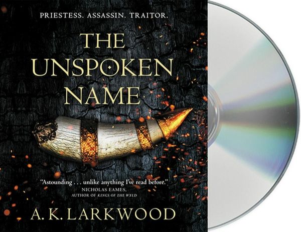 Cover Art for 9781250264053, The Unspoken Name by A. K. Larkwood
