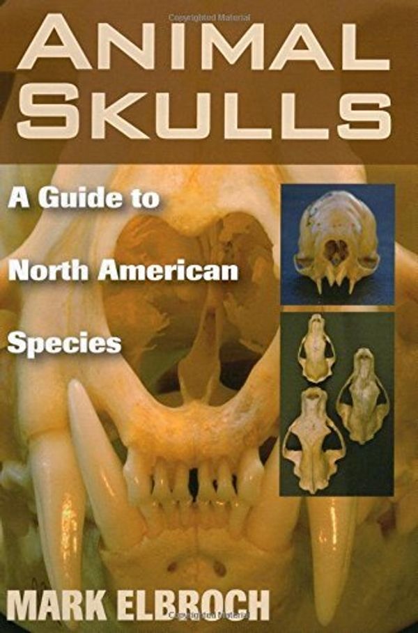 Cover Art for B01K0SNLXY, Animal Skulls: A Guide to North American Species by Lawrence Mark Elbroch (2006-09-10) by Lawrence Mark Elbroch
