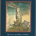 Cover Art for 9780434959921, The Velveteen Rabbit by Margery Williams