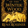 Cover Art for 9780356511450, The Sisters of the Winter Wood by Rena Rossner