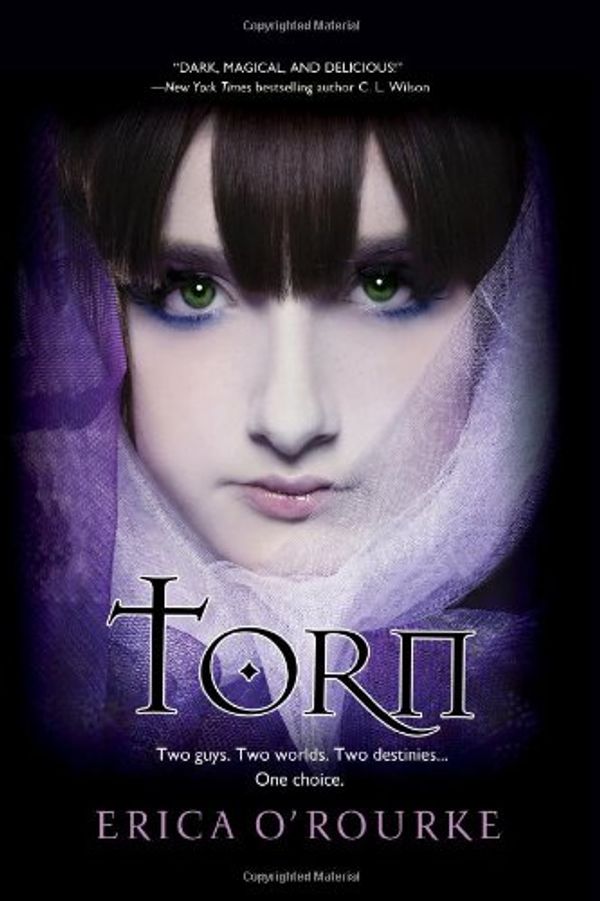 Cover Art for 9780758267030, Torn by Erica O'Rourke
