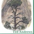 Cover Art for 9781888767377, Nature-Speak by Ted Andrews