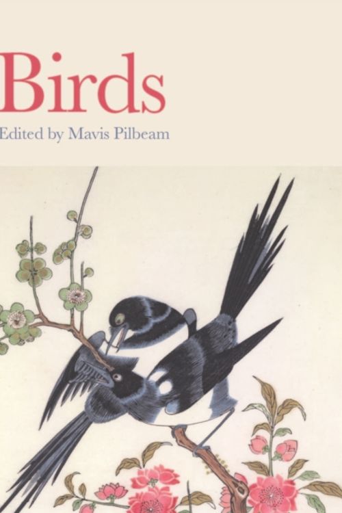 Cover Art for 9780714151120, Birds: The British Museum by Mavis Pilbeam