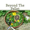 Cover Art for 9781493654055, Beyond The Pellet: Feeding Rabbits Naturally: 2 (The Urban Rabbit Project) by Rick Worden, Craven Jr, Boyd