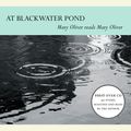 Cover Art for 9780807007013, At Blackwater Pond by Mary Oliver