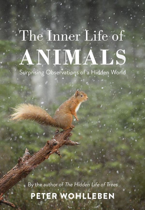 Cover Art for 9781473547971, The Inner Life of Animals: Surprising Observations of a Hidden World by Peter Wohlleben