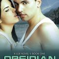 Cover Art for 9781452641652, Obsidian by Jennifer L L Armentrout