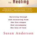 Cover Art for 9780698151123, The Journey from Abandonment to Healing: Revised and Updated by Susan Anderson