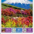 Cover Art for 9780241256756, DK Eyewitness Travel Guide Japan by Dk
