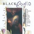 Cover Art for 9783866077881, Black Orchid by Neil Gaiman