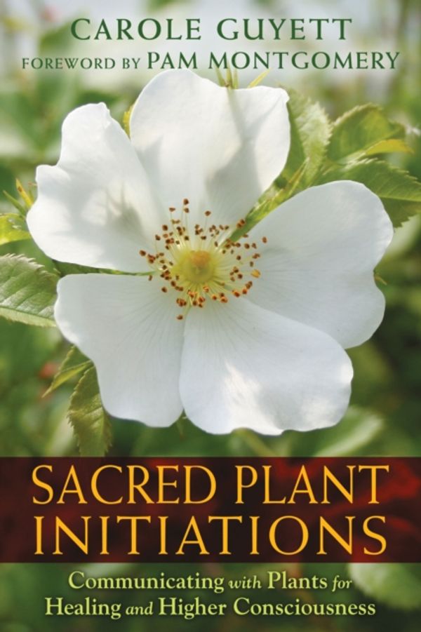 Cover Art for 9781591432135, Sacred Plant Initiations: Communicating With Plants for Healing and Higher Consciousness by Carole Guyett