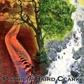 Cover Art for 9781935018803, Sanctification in Reverse by Patricia Baird Clark