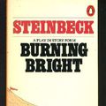 Cover Art for 9780140049992, Burning bright : a play in story form by John Steinbeck