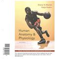 Cover Art for 9780134196008, Human Anatomy & Physiology, Books a la Carte Edition, Masteringa &p with Pearson Etext -- Valuepack Access Card, Human Anatomy & Physiology Laboratory Manual, Fetal Pig Version by Marieb, Elaine N, Hoehn, Katja N