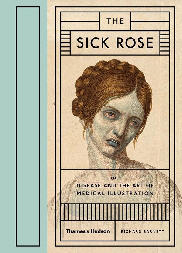 Cover Art for 9780500517345, The Sick Rose by Richard Barnett