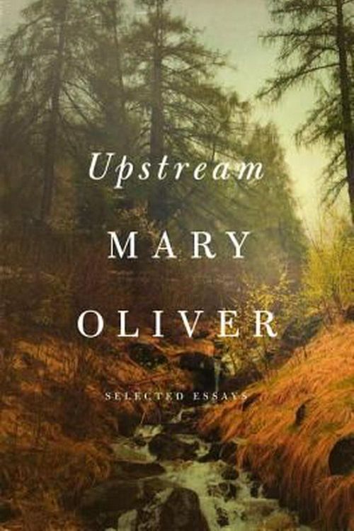 Cover Art for 9781594206702, Upstream by Mary Oliver