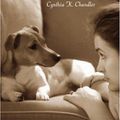 Cover Art for 9780415951739, Animal Assisted Therapy in Counseling by Cynthia K. Chandler
