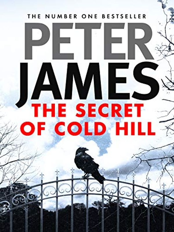Cover Art for B07XQ1CZ71, The Secret of Cold Hill (Cold Hill Ghost Stories Book 2) by Peter James