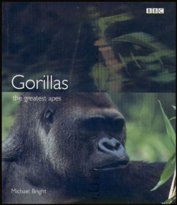 Cover Art for 9780563537557, Gorillas Hb by MICHAEL BRIGHT