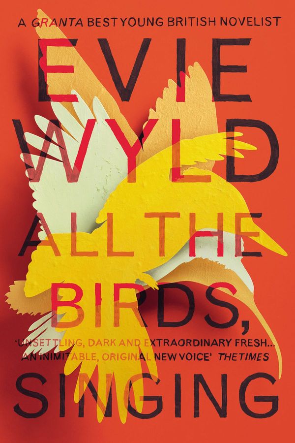 Cover Art for 9781448114481, All the Birds, Singing by Evie Wyld