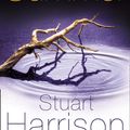 Cover Art for 9780007139361, Lost Summer by Stuart Harrison