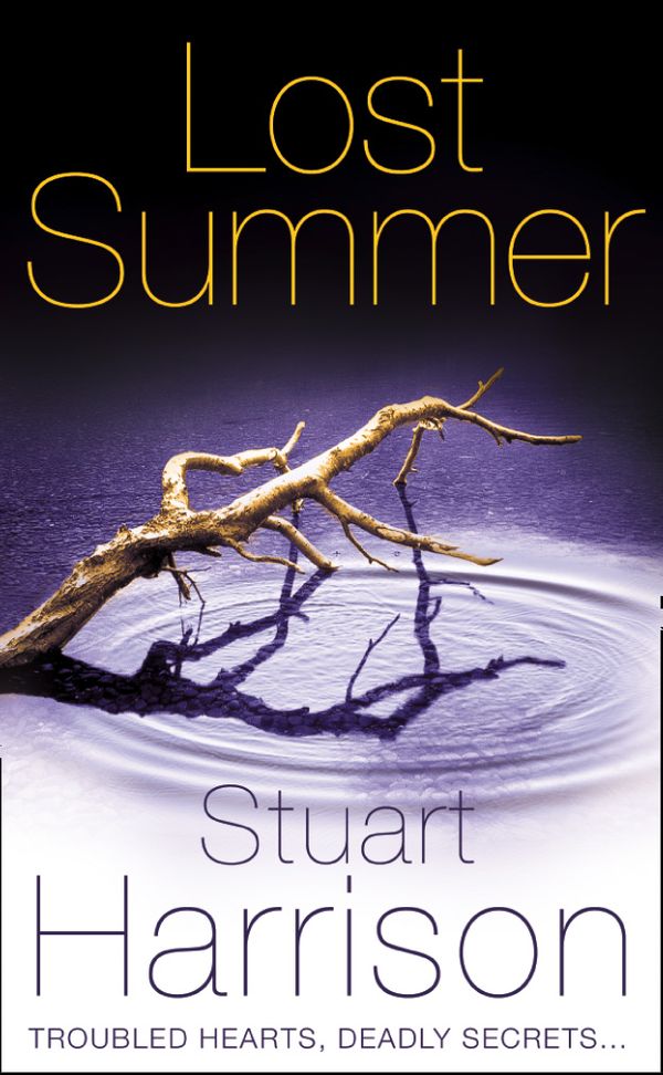 Cover Art for 9780007139361, Lost Summer by Stuart Harrison