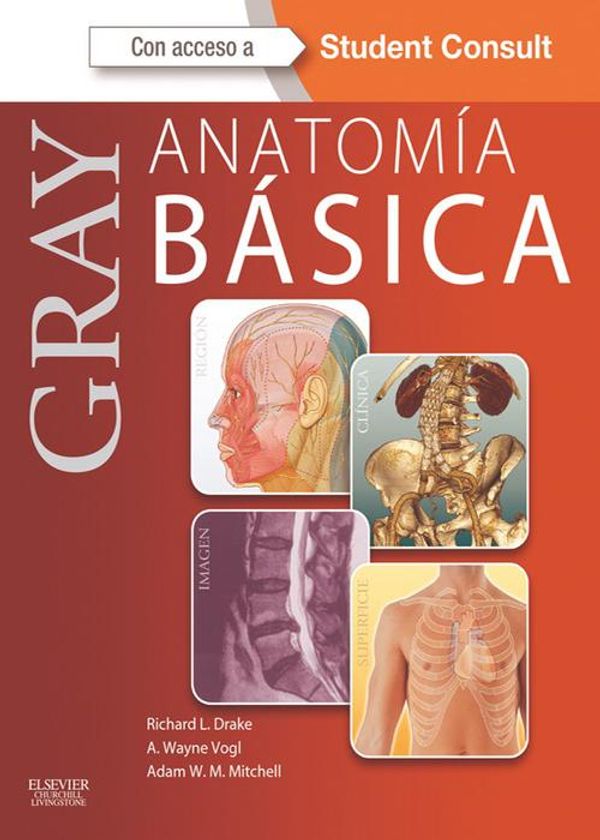 Cover Art for 9788490220306, Gray. Anatomía básica + StudentConsult by A. Wayne Vogl, Adam W.M. Mitchell, Richard Drake